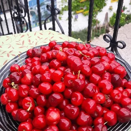 Zigana Lejlighed Mostar