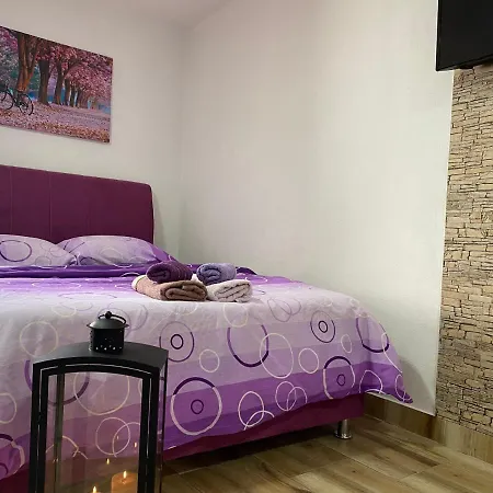 Apartment Zigana *