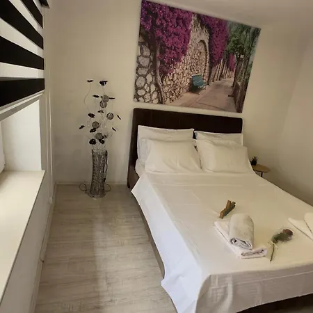 Apartment Zigana *