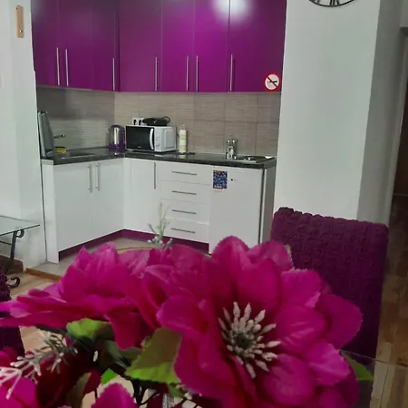 Zigana Apartment *