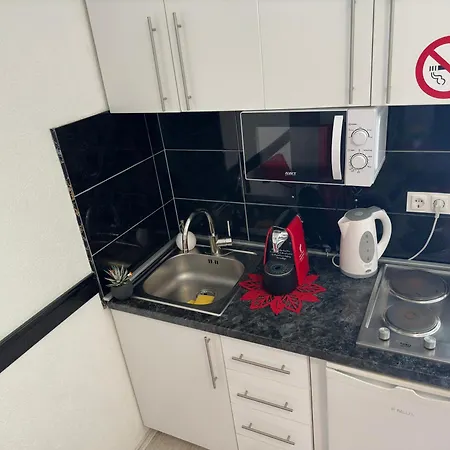 Apartment Zigana *