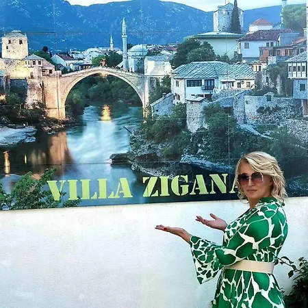 Zigana Apartment